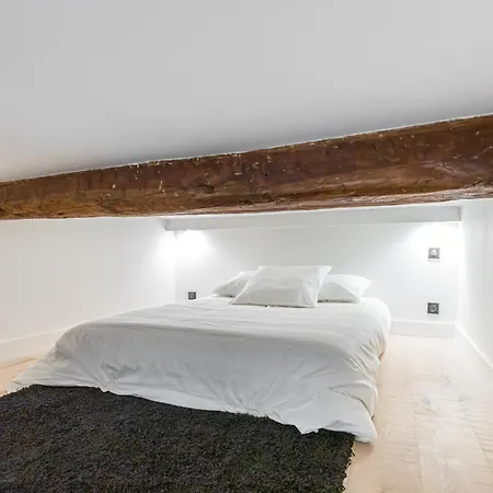 Apartment 12 Bunico - Duplex - Vieux - 100m De La