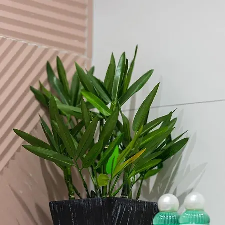 Duplex - Vieux - 100m De La Nice